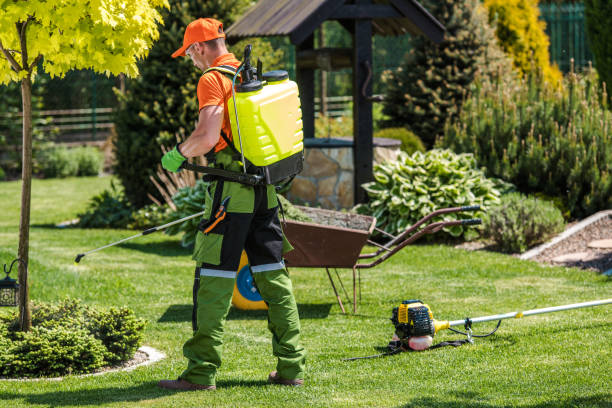 Best Fumigation Services  in Itasca, IL